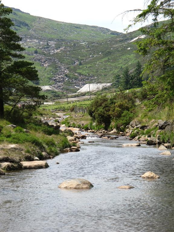 Riversdale House Accommodation Laragh Dış mekan fotoğraf